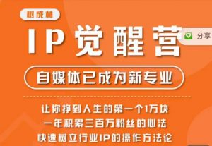 树成林·IP觉醒营,快速树立行业IP的操作方法论,让你赚到人生的第一个1万块(更新)-虚拟资源库