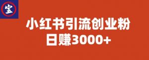 宝哥小红书引流创业粉,日赚3000+【揭秘】-虚拟资源库