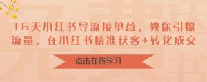 16天小红书导流接单营,教你引爆流量,在小红书精准获客+转化成交-虚拟资源库