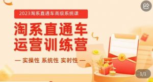 冠东·2023淘系直通车高级系统课,实操性,系统性,实时性,直通车完整体系教学-虚拟资源库