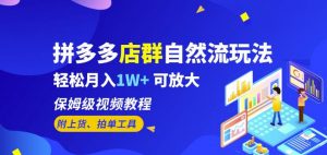 拼多多店群自然流玩法,轻松月入1W+保姆级视频教程(附上货、拍单工具)-虚拟资源库