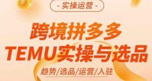 伍跃·跨境拼多多TEMU实操与选品，​趋势/选品/运营/入住（27节完整）-虚拟资源库