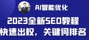 2023最新网站AI智能优化SEO教程,简单快速出权重,AI自动写文章+AI绘画配图-虚拟资源库