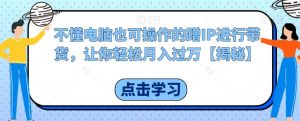 不懂电脑也可操作的蹭IP进行带货，让你轻松月入过万【揭秘】-虚拟资源库