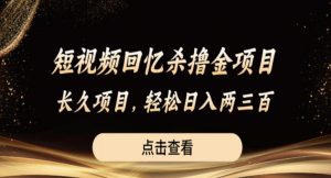 短视频回忆杀撸金项目，长久项目，轻松日入两三张【揭秘】-虚拟资源库