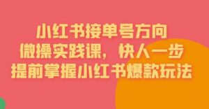 接单号方向·小红书微操实践课,快人一步,提前掌握小红书爆款玩法-虚拟资源库