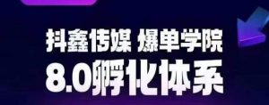 抖鑫传媒-爆单学院8.0孵化体系,让80%以上达人都能运营一个稳定变现的账号,操作简单,一部手机就能做-虚拟资源库