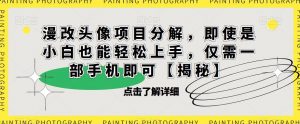 漫改头像项目分解,即使是小白也能轻松上手,仅需一部手机即可【揭秘】-虚拟资源库