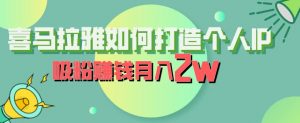 喜马拉雅如何打造个人IP,吸粉赚钱月入2W【揭秘】-虚拟资源库