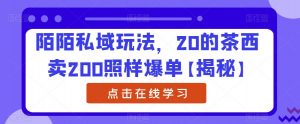 陌陌私域玩法,20的茶西卖200照样爆单【揭秘】-虚拟资源库