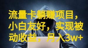流量卡躺赚项目,小白友好,开设后台,实现被动收益,只要出卡,就能一直赚钱,利润高昂【揭秘】-虚拟资源库
