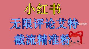小红书无限评论艾特截流精准粉（软件+教程）-虚拟资源库