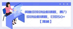 闲鱼引流创业粉课程，暴力引创业粉课程，日引50+【揭秘】-虚拟资源库