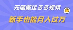 无脑搬运多多视频,新手也能月入过万【揭秘】-虚拟资源库