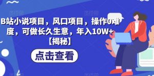 B站小说项目，风口项目，操作0难度，可做长久生意，年入10W+【揭秘】-虚拟资源库