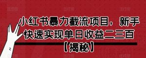 小红书暴力截流项目，新手快速实现单日收益二三百【仅揭秘】-虚拟资源库