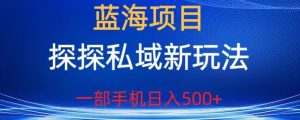 蓝海项目,探探私域新玩法,一部手机日入500+很轻松【揭秘】-虚拟资源库
