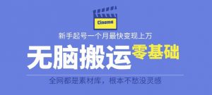 揭秘最新爆火无脑搬运故事桥段撸金项目,零基础可月入上万【全套详细玩法教程】-虚拟资源库