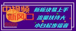 中视频新风口，新板块易上手，流量扶持大，小白起步福音【揭秘】-虚拟资源库