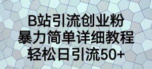 B站引流创业粉，暴力简单详细教程，轻松日引流50+【揭秘】-虚拟资源库