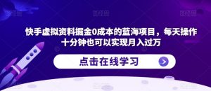 快手虚拟资料掘金0成本的蓝海项目,每天操作十分钟也可以实现月入过万【揭秘】-虚拟资源库