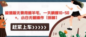 极速版无费用薅羊毛,一天躺赚10-50+,小白无脑操作【拆解】-虚拟资源库