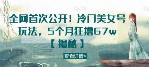 全网首次公开！冷门美女号玩法，5个月狂撸67w【揭秘】-虚拟资源库