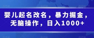婴儿起名改名，暴力掘金，无脑操作，日入1000+【揭秘】-虚拟资源库