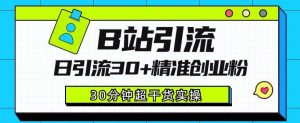 B站引流日引流30+精准创业粉,超详细B站引流创业粉玩法【揭秘】-虚拟资源库