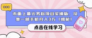 市面上最火男粉项目实操版，仅靠一部手机月入3万【揭秘】-虚拟资源库