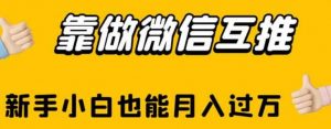 靠做微信互推,新手小白也能月入过万【揭秘】-虚拟资源库