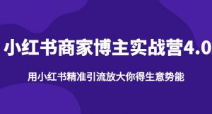 【推荐】小红书商家博主精准引流实战营4.0，用小红书放大你的生意势能-虚拟资源库