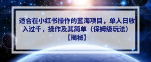 适合在小红书操作的蓝海项目,单人日收入过千,操作及其简单(保姆级玩法)【揭秘】-虚拟资源库