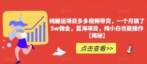 纯搬运项目多多视频带货，一个月搞了5w佣金，蓝海项目，纯小白也能操作【揭秘】-虚拟资源库