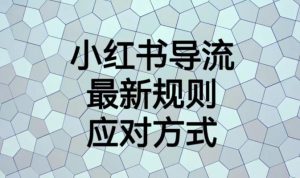 小红书导流最新规则应对方式【揭秘】-虚拟资源库