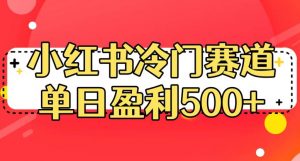 小红书冷门赛道,单日盈利500+【揭秘】-虚拟资源库
