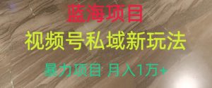 蓝海项目，视频号私域新玩法，暴力项目月入1万+【揭秘】-虚拟资源库