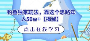 钓鱼独家玩法，靠这个思路年入50w+【揭秘】-虚拟资源库
