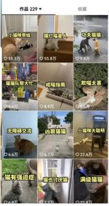 拆解：抖音盘点类中视频变现副业项目，视频版一条龙大解析分享给你-虚拟资源库