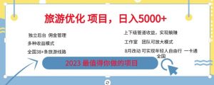 旅游优化项目，2023最值得你做的项目没有之一，带你月入过万-虚拟资源库