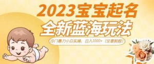 抖音美女图文+音乐推广5.0版本,单日单号500+,0本0粉可矩阵,五分钟一个视频【揭秘】-虚拟资源库