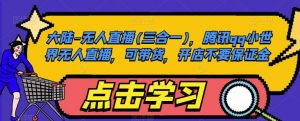 大陆-无人直播(三合一),腾讯qq小世界无人直播,可带货,开店不要保证金-虚拟资源库