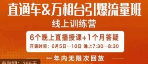 直通车&万相台引爆流量班,6天打通你开直通车·万相台的任督二脉-虚拟资源库