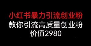 小红书暴力引流创业粉，教你引流高质量创业粉，价值2980【揭秘】-虚拟资源库