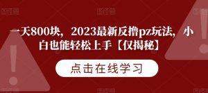 一天800块，2023最新反撸pz玩法，小白也能轻松上手【仅揭秘】-虚拟资源库