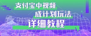 避坑玩法:支付宝中视频分成计划玩法实操详解【揭秘】-虚拟资源库