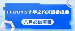 最新蓝海项目,靠最近非常火的TFBOYS十年之约演唱会流量掘金,八月必做的项目【揭秘】-虚拟资源库