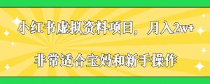 小红书虚拟资料项目,月入2w+,非常适合宝妈和新手操作【揭秘】-虚拟资源库