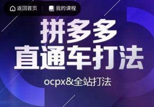 互力·拼多多直通车打法，ocpx&全站打法-虚拟资源库