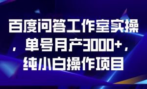 百度问答工作室实操,单号月产3000+,纯小白操作项目【揭秘】-虚拟资源库